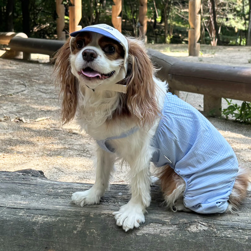 [무료배송] 해피댕댕 끈나시쿨올인원 S - 2XL 8번째