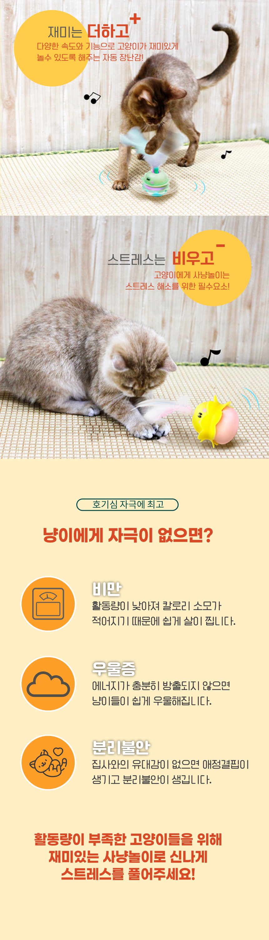 [NEW신상][무료배송] 펫이랑 퐁퐁 고양이 자동 장난감 꼬리잡기 4번째
