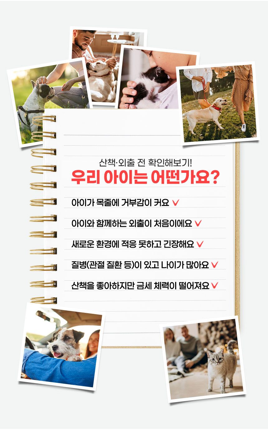[무료배송] 인뮤즈 독 일체형 유모차 블랙/네이비/그레이 2번째
