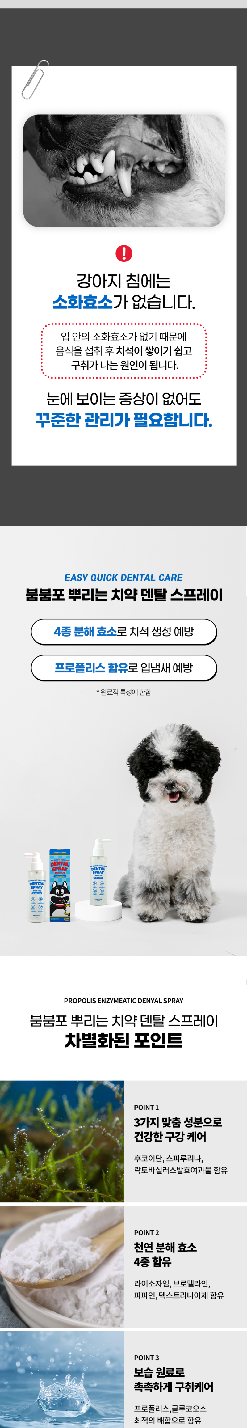 붐붐포 효소 덴탈 스프레이 120ml 2번째