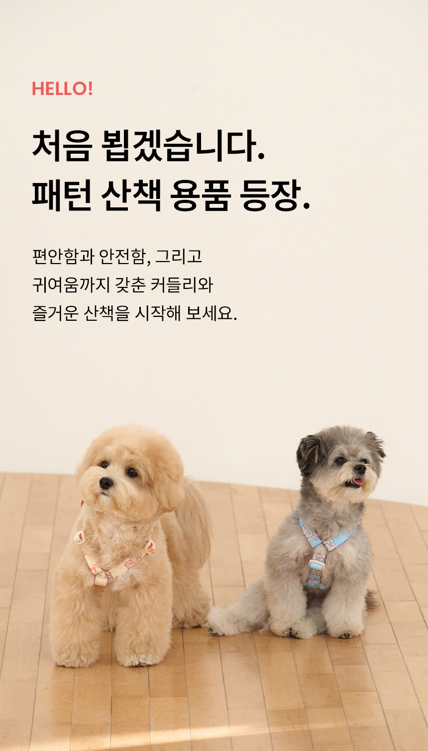 [무료배송] 리카리카 커들리 토이 하네스 H자형 베어/래빗/퍼피 S-L 4번째