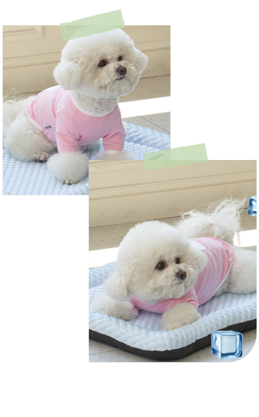 [NEW신상][무료배송] 개과천선 쿨러시 방석 (크림 소다/크림 멜론) 9번째