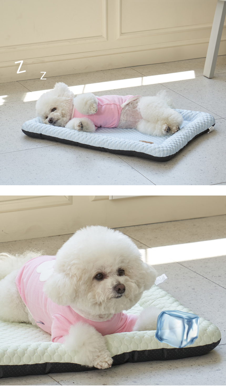 [NEW신상][무료배송] 개과천선 쿨러시 방석 (크림 소다/크림 멜론) 13번째