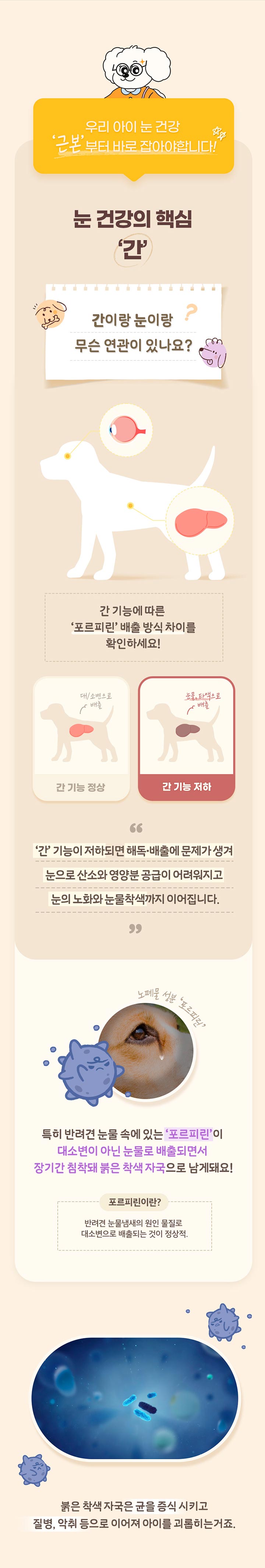 펫또마망 강아지 눈 영양제 80g 눈물자국 루테인 3번째