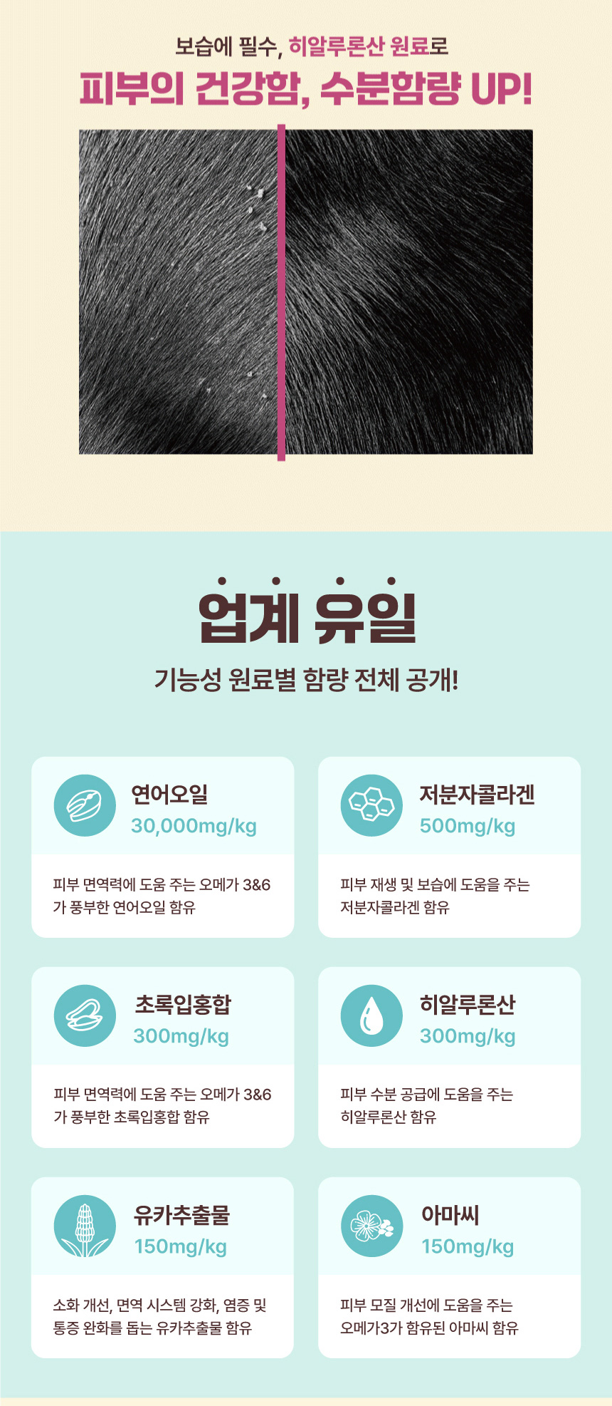 [NEW신상][무료배송] 데이스포 독 우리아이 피부깨끗 사료 1.8kg 7번째