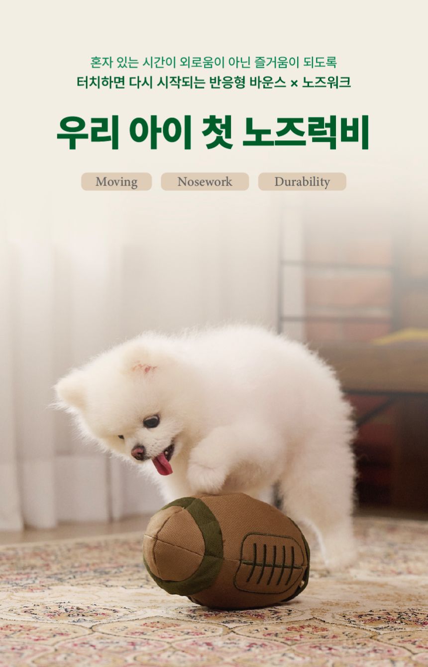 [NEW신상][무료배송] 디퓨리 노즈럭비 자동 노즈워크 움직이는 무빙볼 c타입 충전형 2번째