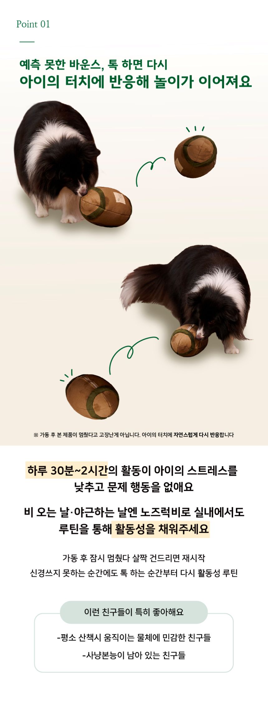 [NEW신상][무료배송] 디퓨리 노즈럭비 자동 노즈워크 움직이는 무빙볼 c타입 충전형 6번째