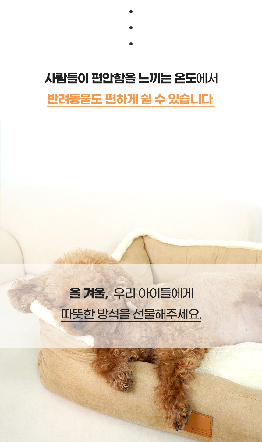 [NEW신상][무료배송] 개과천선 몰리스 사각 방석 (중형/특대형) 3번째