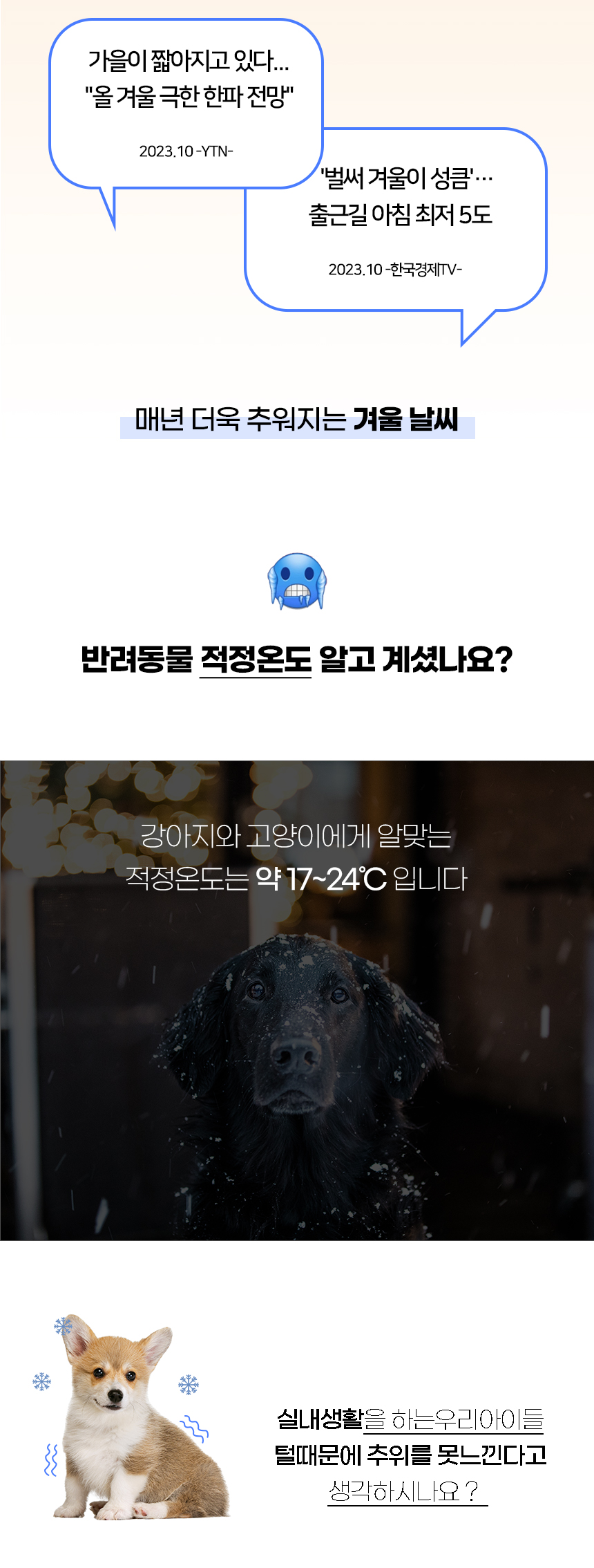 [NEW신상][무료배송] 개과천선 몰리스 사각 방석 (중형/특대형) 2번째