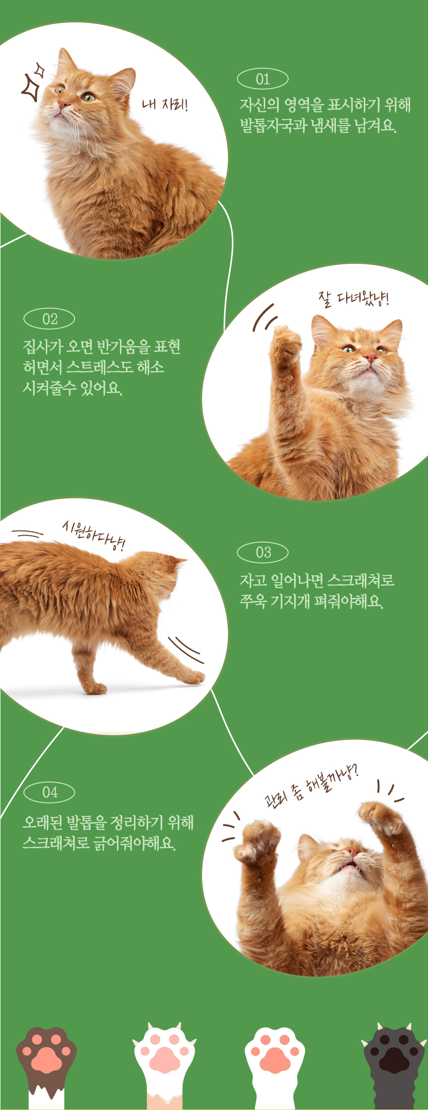[무료배송] 펫토리아 GP 해바라기 평판형 스크래쳐 4번째