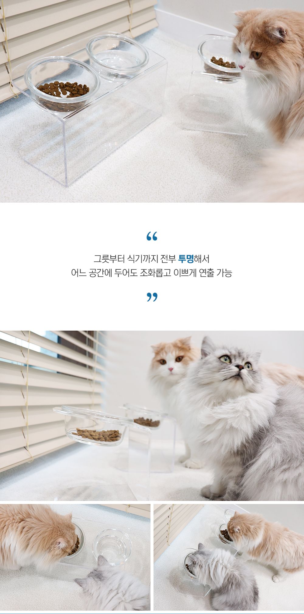 링펫 아크릴식기 2구 17cm  3번째