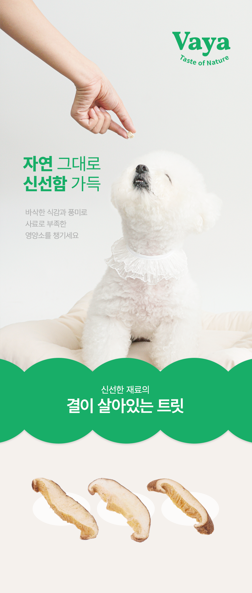 [NEW신상][무료배송] 바야 동결건조 표고버섯 25g 5번째