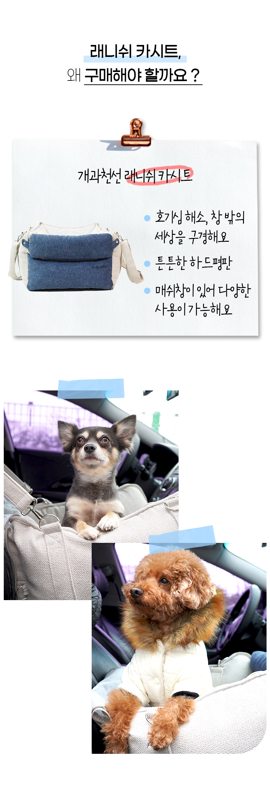 [NEW신상][무료배송] 개과천선 독 래니쉬 카시트 7번째