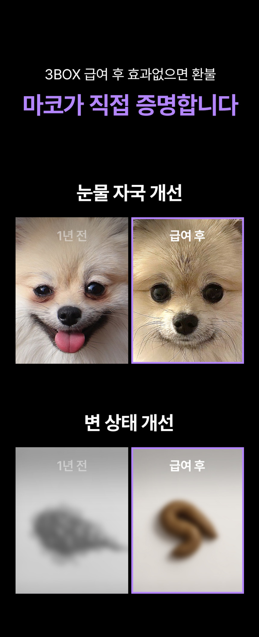 [NEW신상][무료배송] 이지나인 강아지 고함량 종합 영양제 60정 12번째
