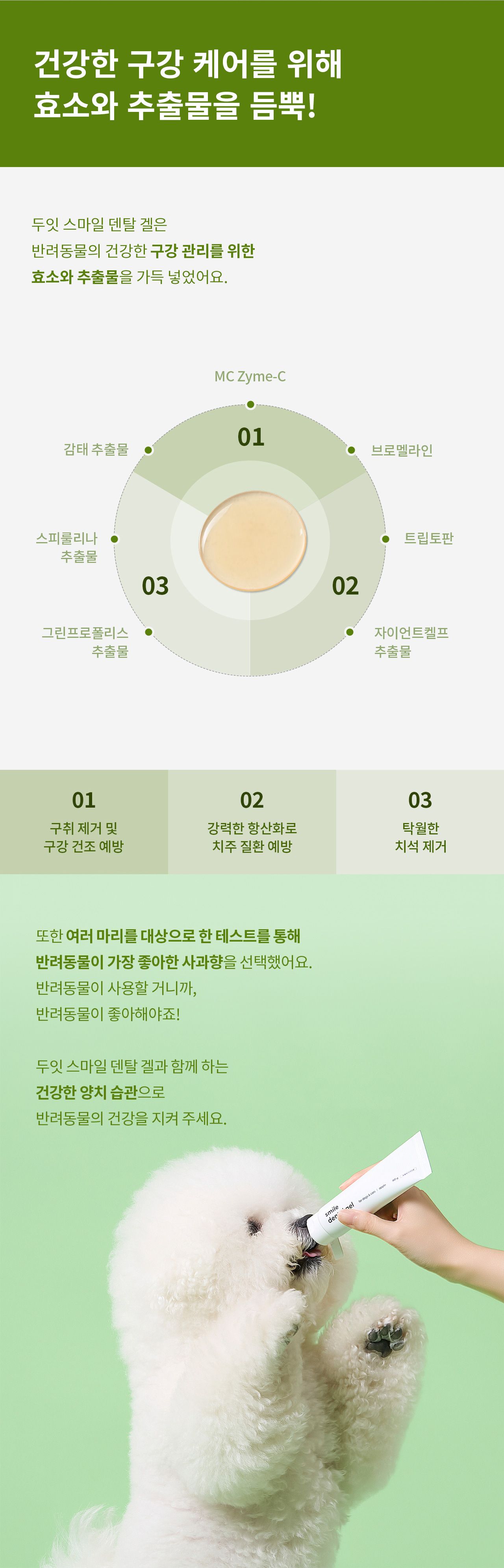 [무료배송] 두잇 스마일 덴탈 브러쉬&겔 세트 6번째
