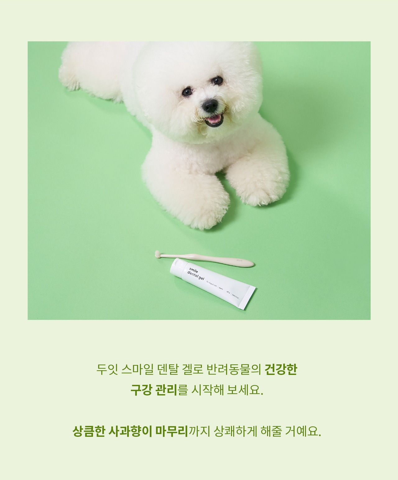 [무료배송] 두잇 스마일 덴탈 브러쉬&겔 세트 21번째