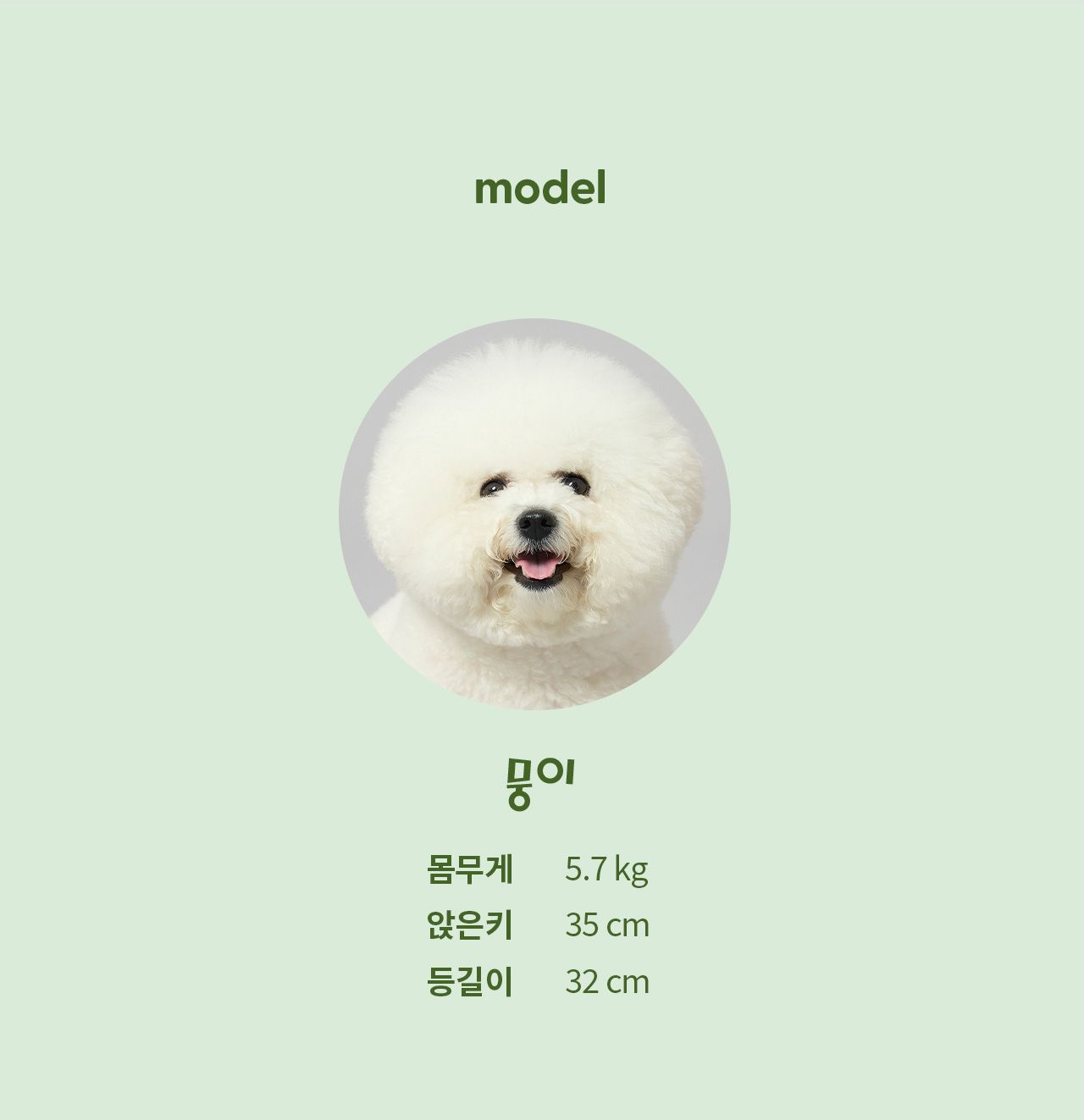 [무료배송] 두잇 스마일 덴탈 브러쉬&겔 세트 24번째
