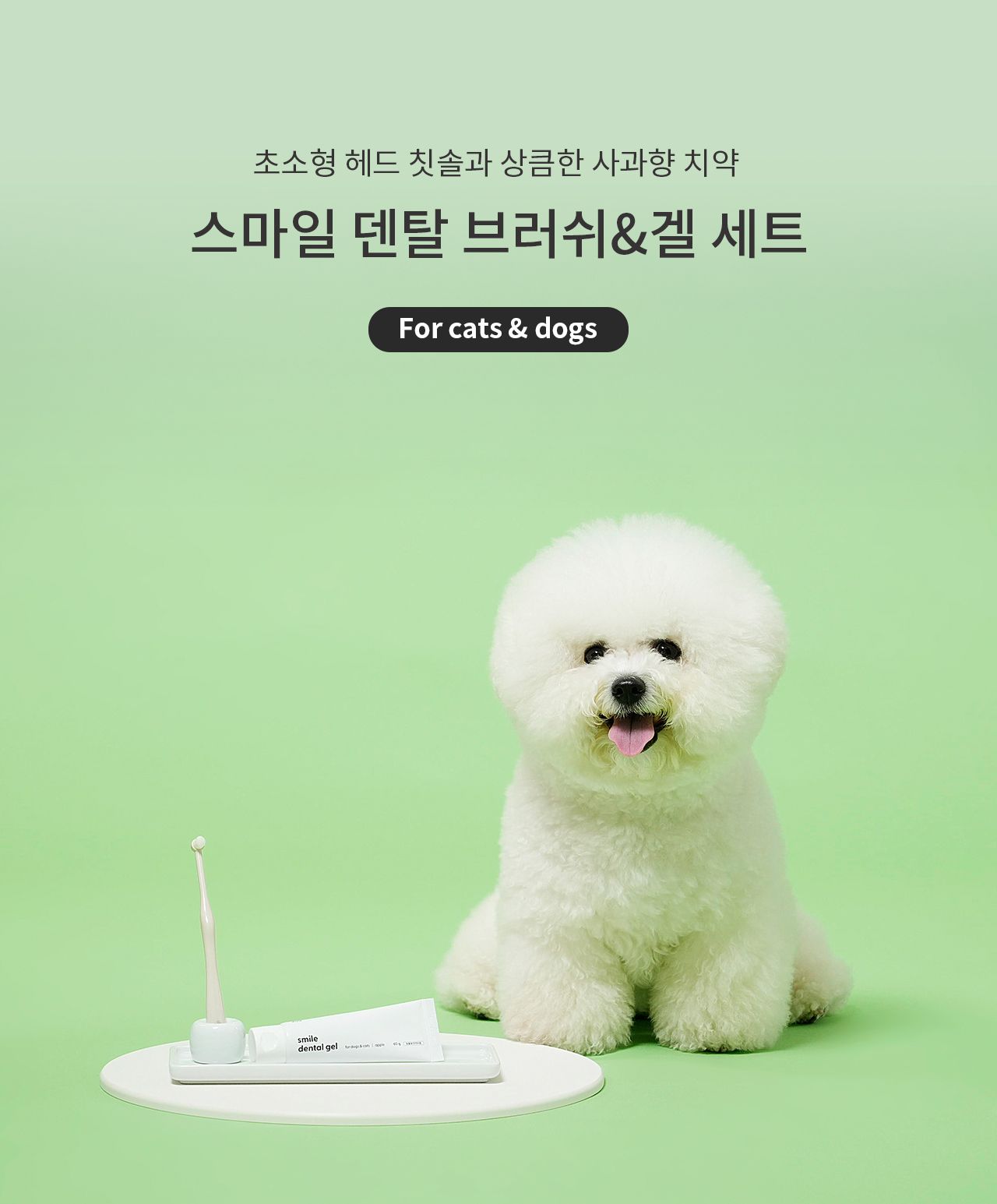 [무료배송] 두잇 스마일 덴탈 브러쉬&겔 세트 1번째