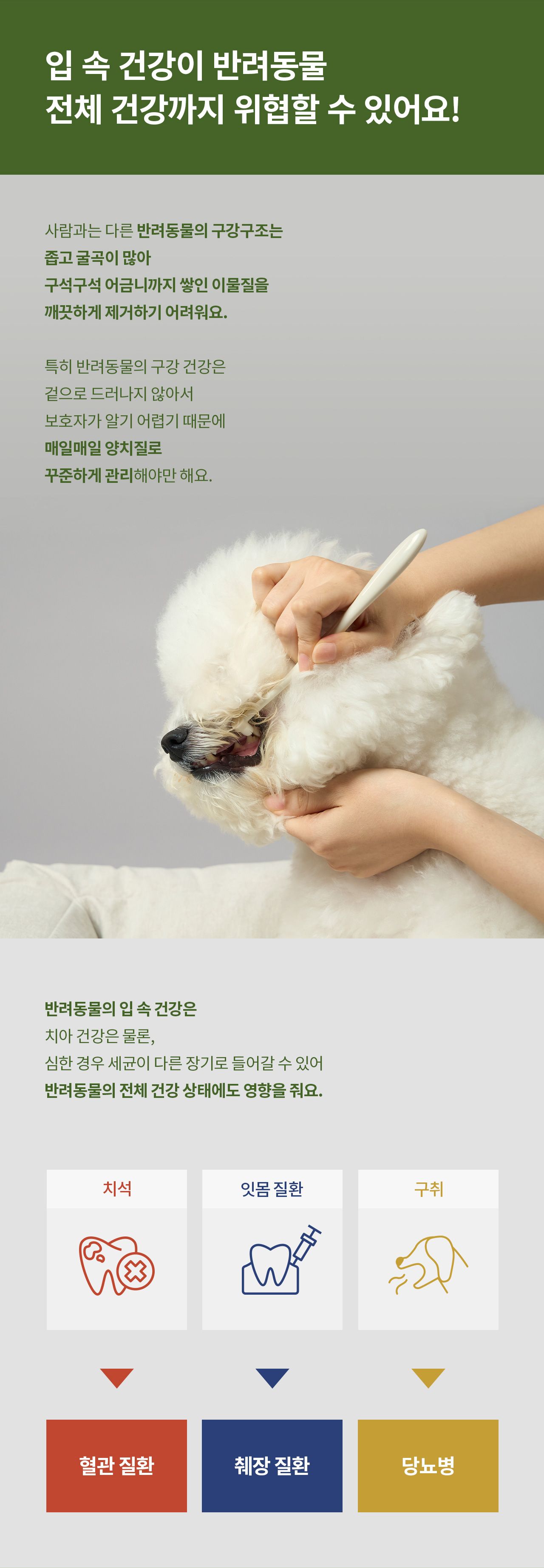 [무료배송] 두잇 스마일 덴탈 브러쉬&겔 세트 13번째
