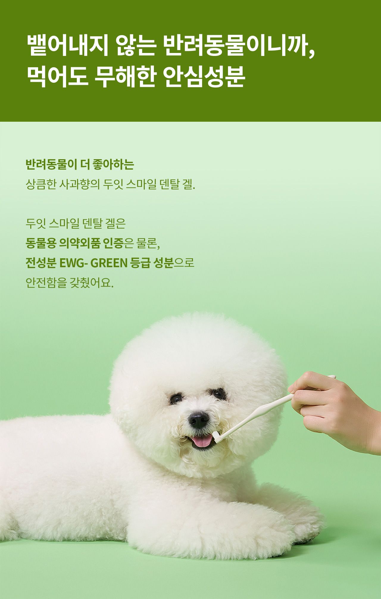 [무료배송] 두잇 스마일 덴탈 브러쉬&겔 세트 3번째