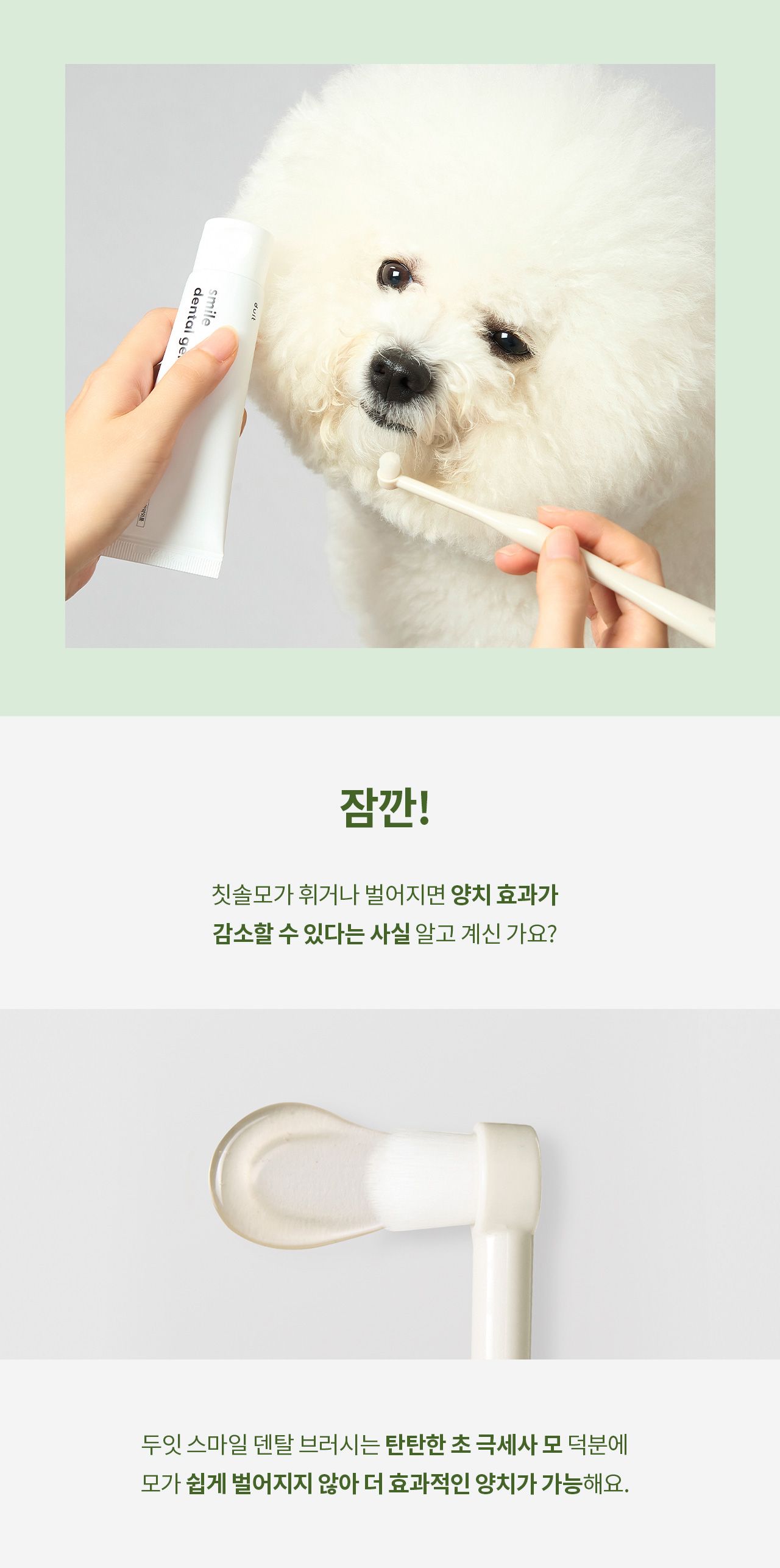 [무료배송] 두잇 스마일 덴탈 브러쉬&겔 세트 20번째