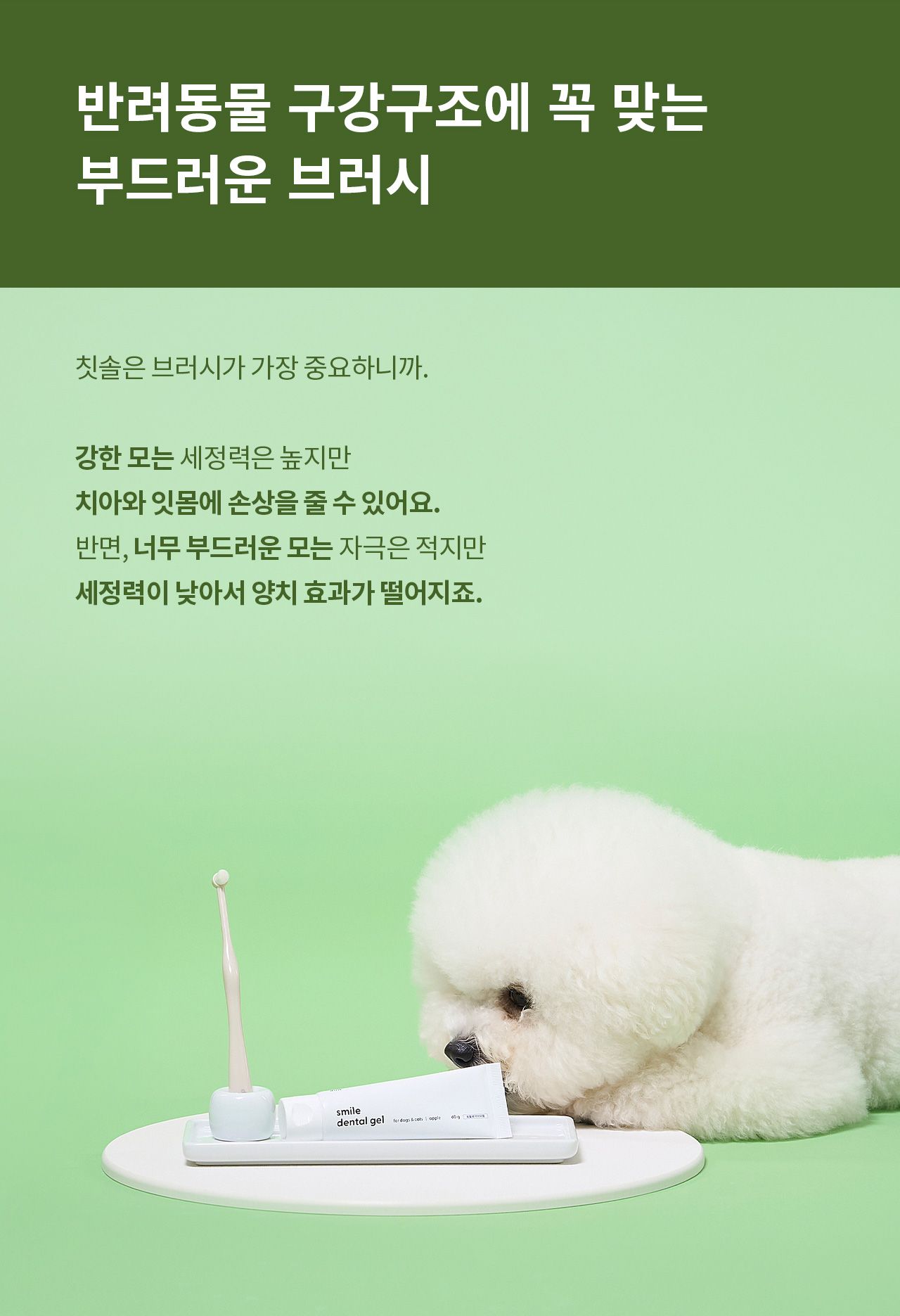 [무료배송] 두잇 스마일 덴탈 브러쉬&겔 세트 16번째
