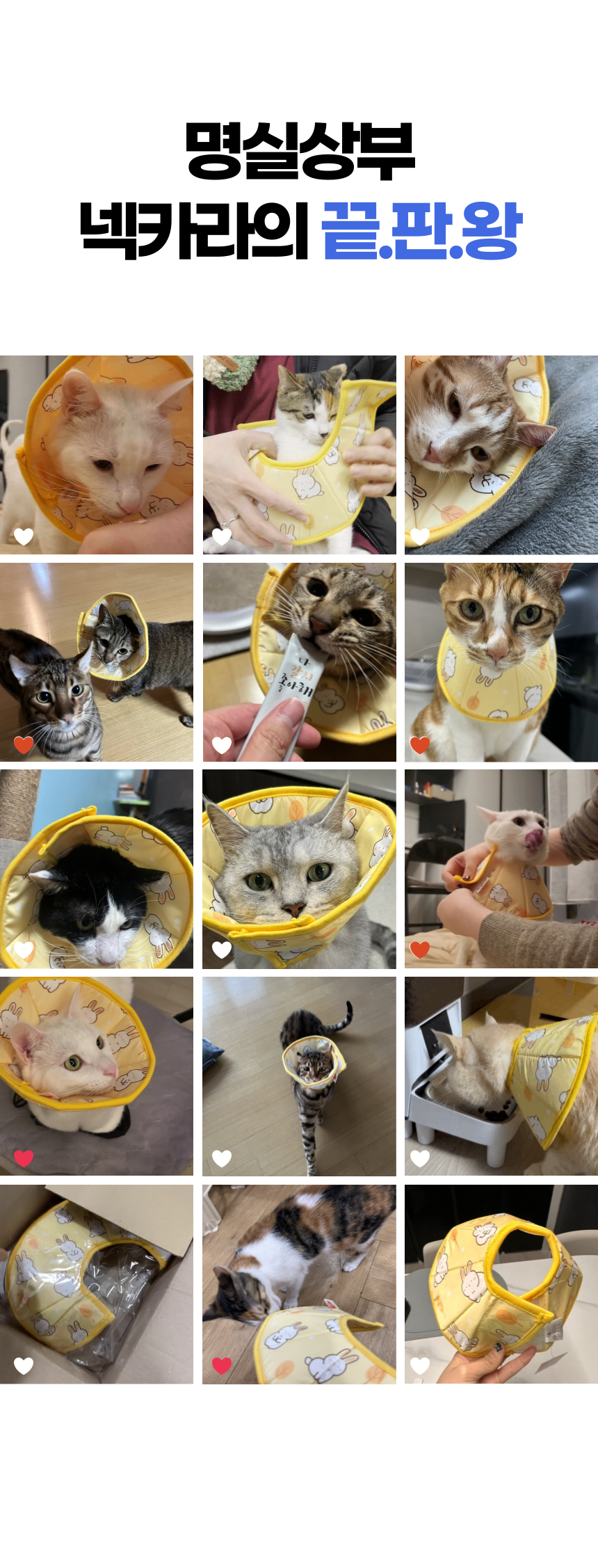 알뜰펫 컬러풀 넥카라 옐로우/핑크/블루 3번째