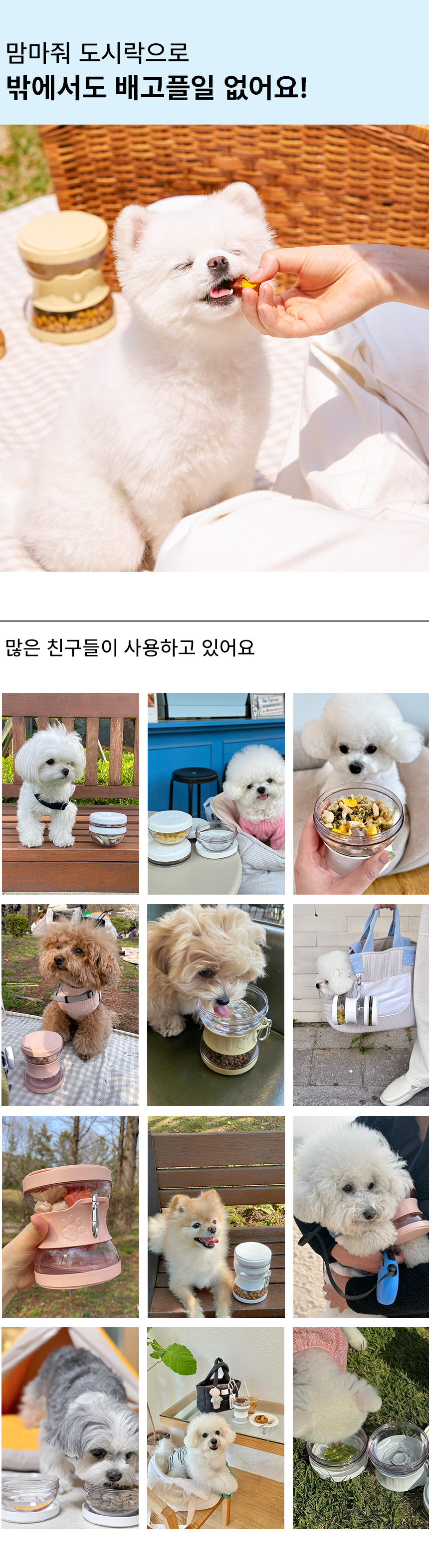 [무료배송] 냅다다 강아지 맘마줘 도시락 (3colors) 4번째