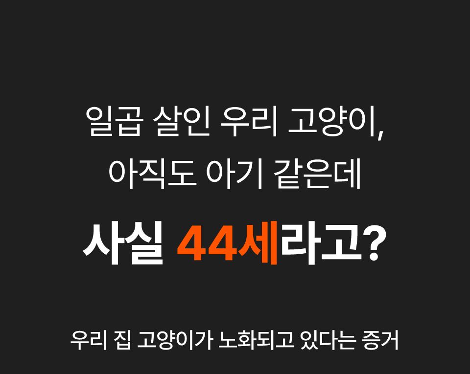 [브랜드전][2+1] 닥터펠리스 캣 7+ 케어 스틱 치킨 150g 1번째