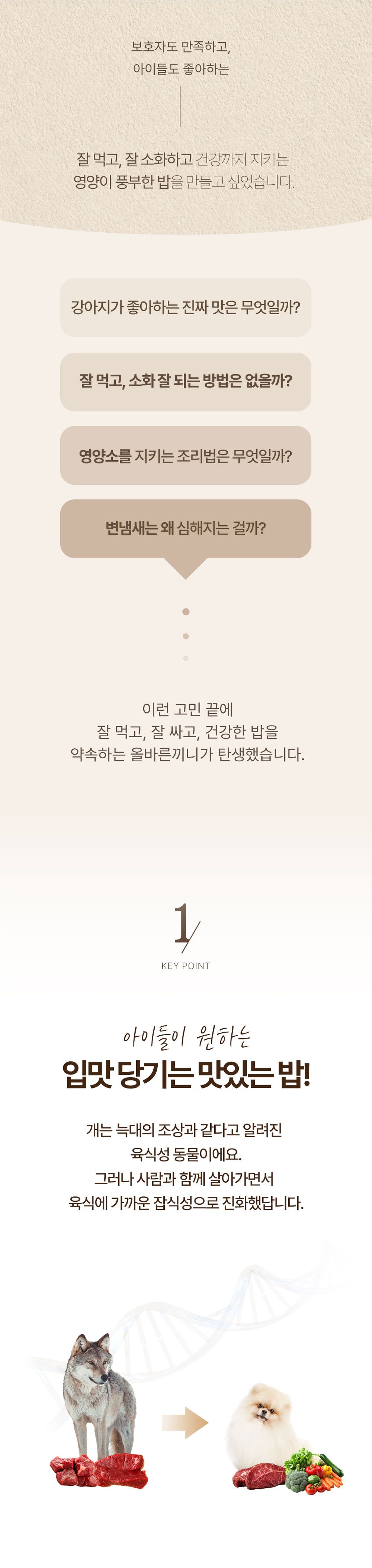 올바른끼니 독 플러스 소고기&초록입홍합 관절건강 1.2kg 4번째