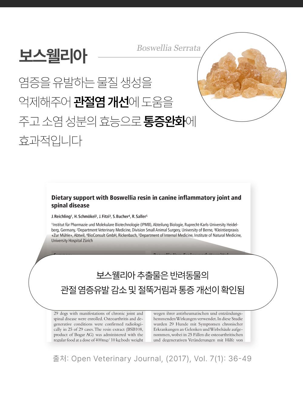 올바른끼니 독 플러스 소고기&초록입홍합 관절건강 1.2kg 20번째