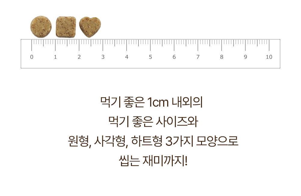 올바른끼니 독 플러스 소고기&초록입홍합 관절건강 1.2kg 27번째