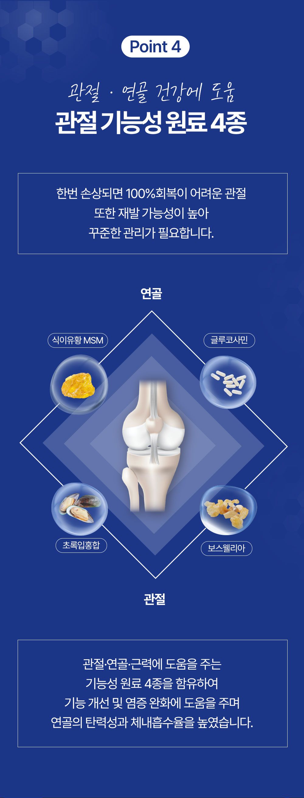 올바른끼니 독 플러스 소고기&초록입홍합 관절건강 1.2kg 18번째