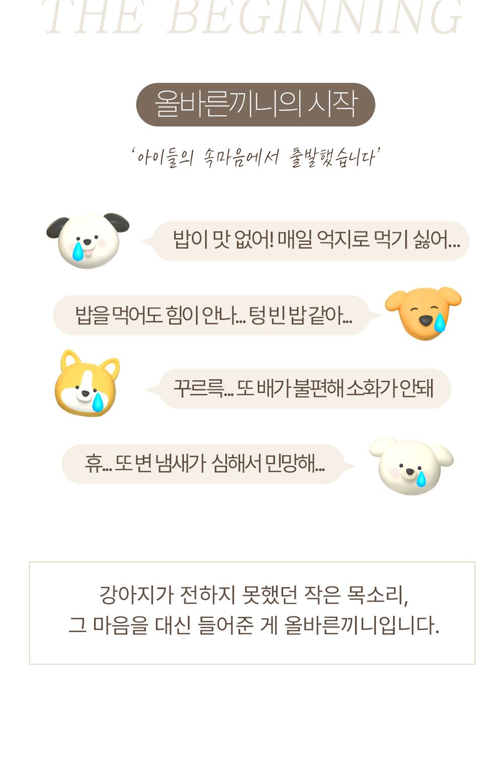 올바른끼니 독 플러스 소고기&초록입홍합 관절건강 1.2kg 3번째