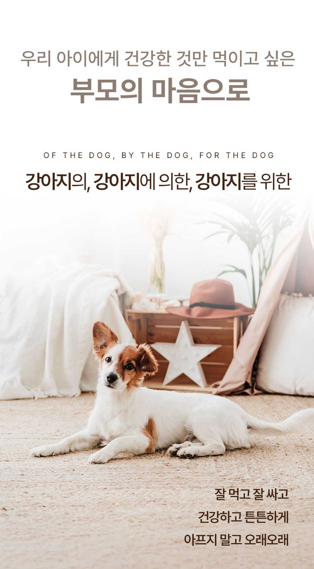 올바른끼니 독 플러스 소고기&초록입홍합 관절건강 1.2kg 11번째