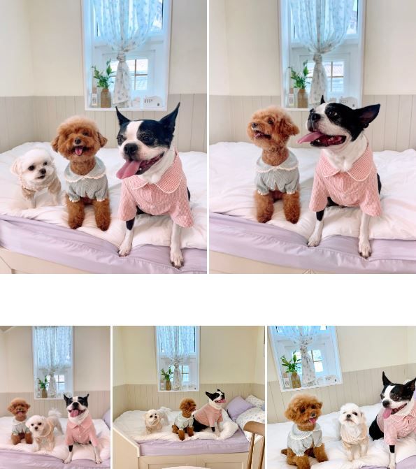 [무료배송] 찰리롤리 데일리 체크 잠옷 레이스 파자마 베이지/민트/핑크 S-2XL  6번째