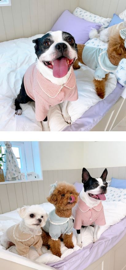 [무료배송] 찰리롤리 데일리 체크 잠옷 레이스 파자마 베이지/민트/핑크 S-2XL  5번째