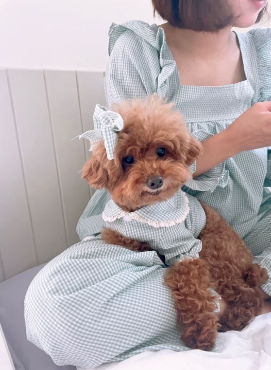 [무료배송] 찰리롤리 데일리 체크 잠옷 레이스 파자마 베이지/민트/핑크 S-2XL  18번째