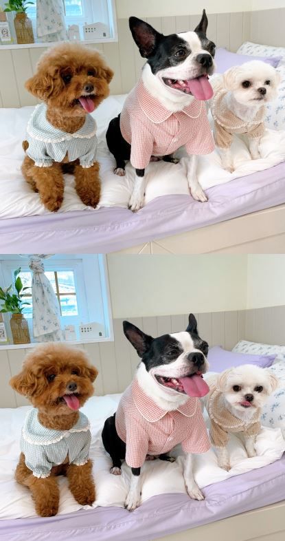 [무료배송] 찰리롤리 데일리 체크 잠옷 레이스 파자마 베이지/민트/핑크 S-2XL  4번째