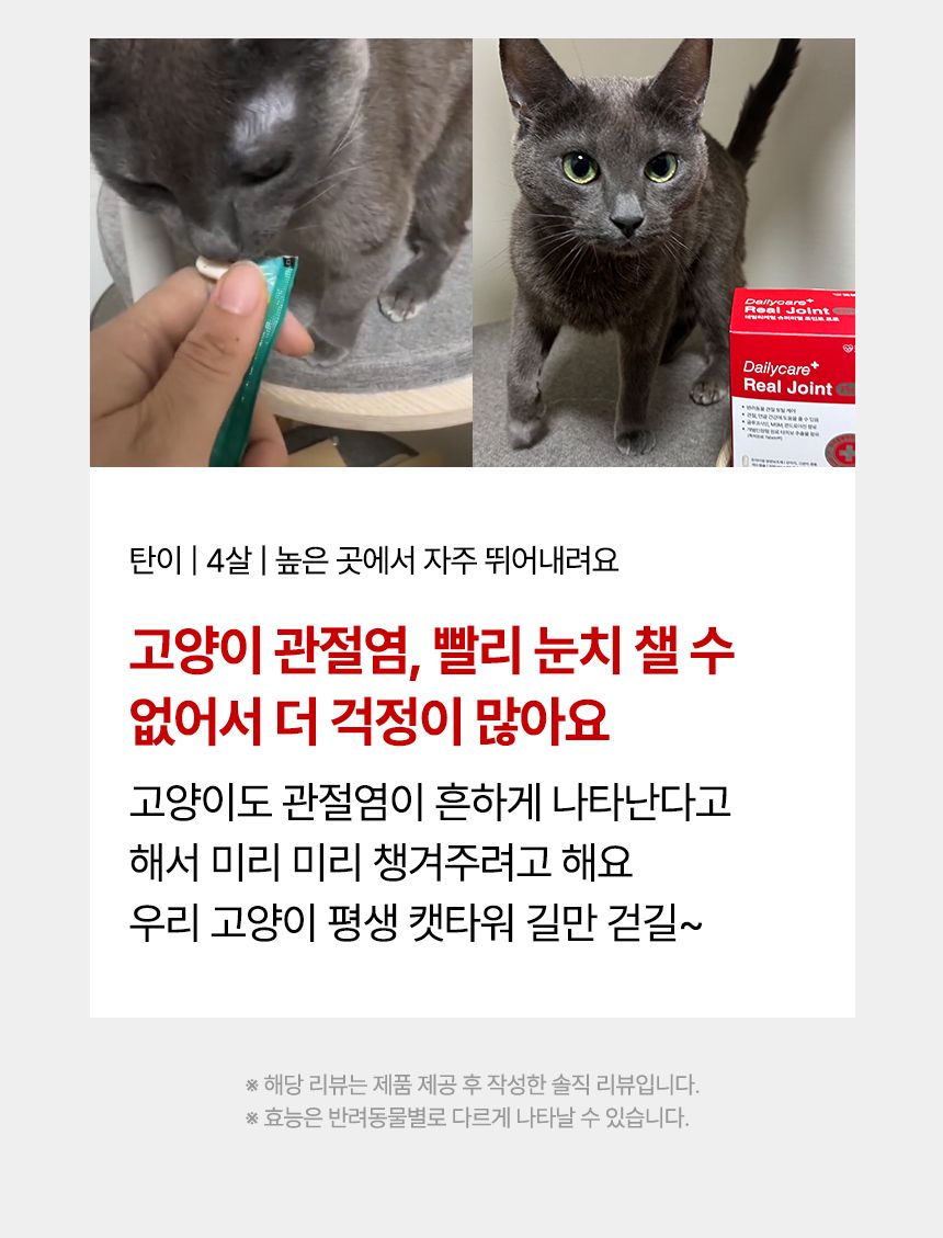 [NEW신상]펫생각 데일리케얼 조인트 PRO 관절 영양제 60캡슐 5번째
