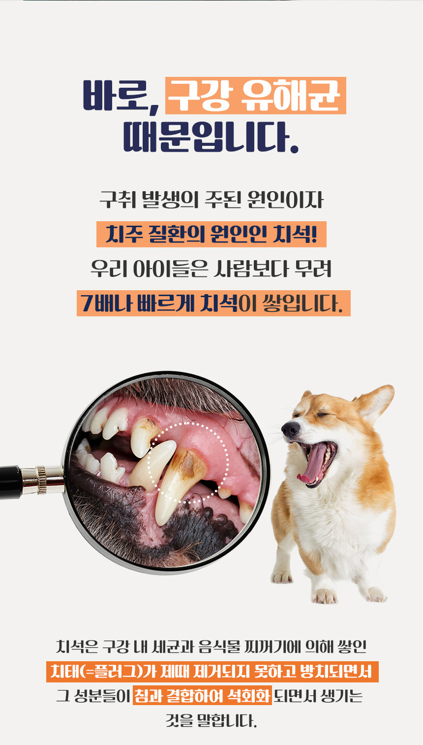 [무료배송] 댕이수랏간 침향 구강 영양제 60g 8번째