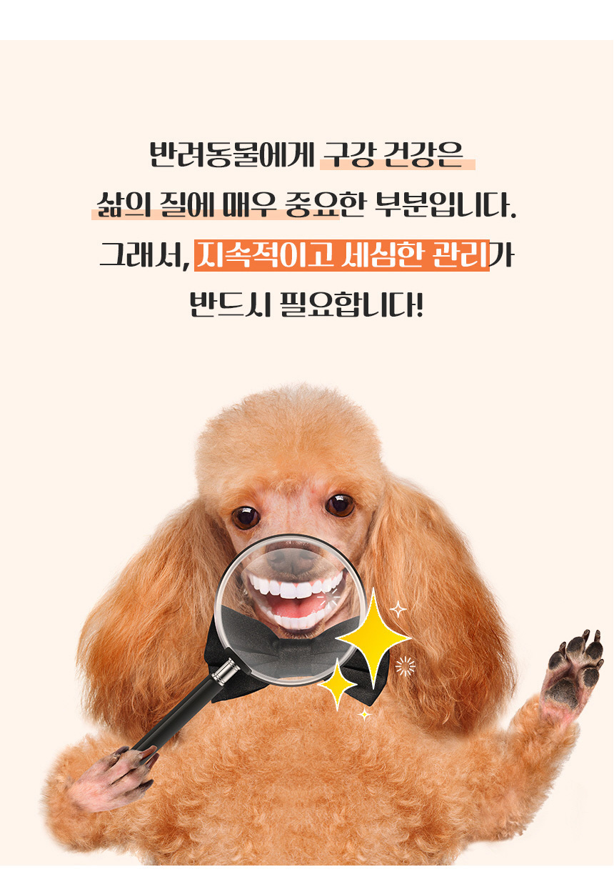 [무료배송] 댕이수랏간 침향 구강 영양제 60g 11번째