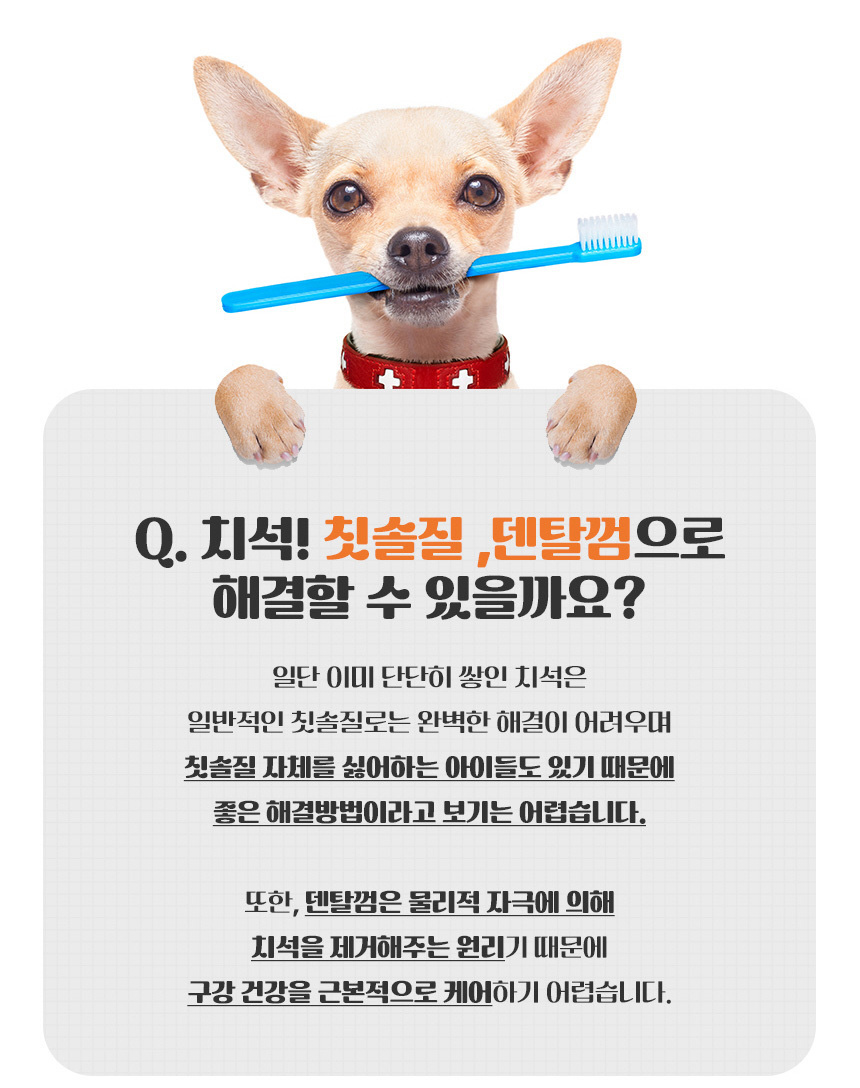 [무료배송] 댕이수랏간 침향 구강 영양제 60g 10번째