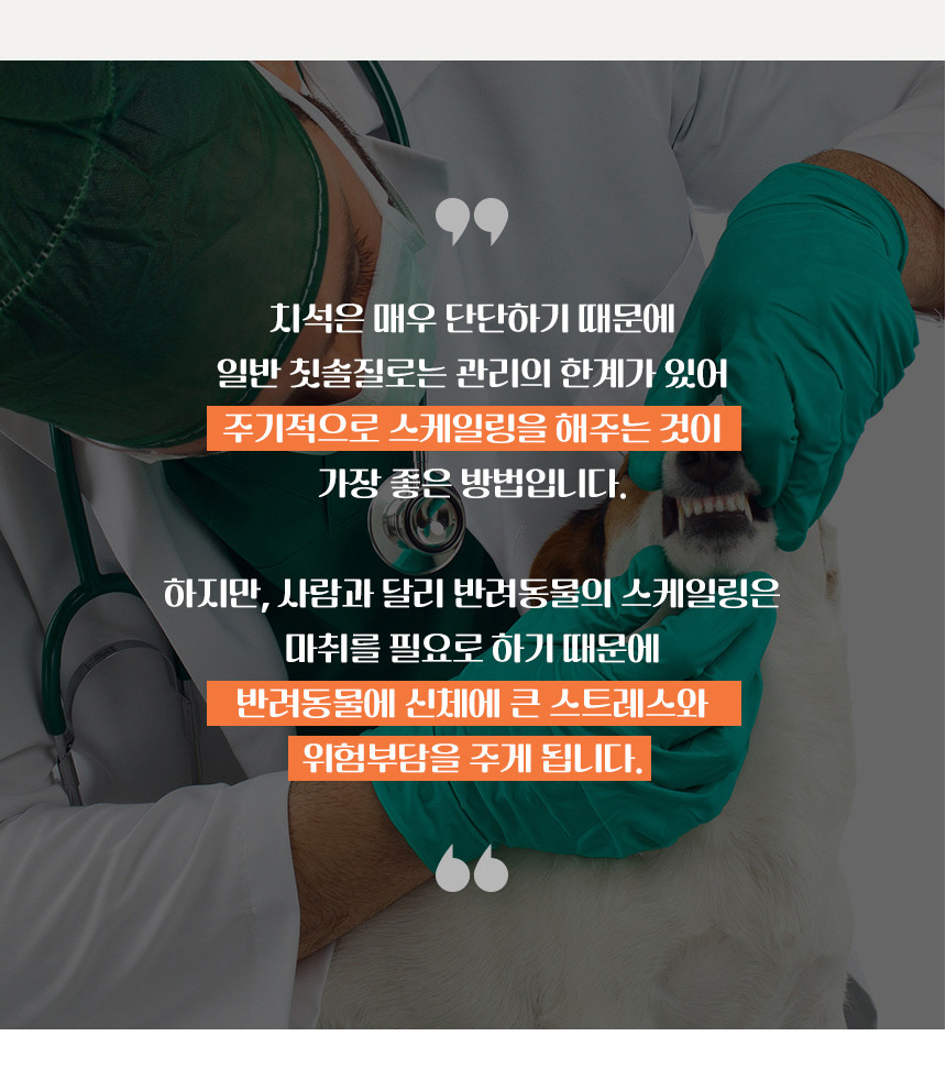 [무료배송] 댕이수랏간 침향 구강 영양제 60g 9번째