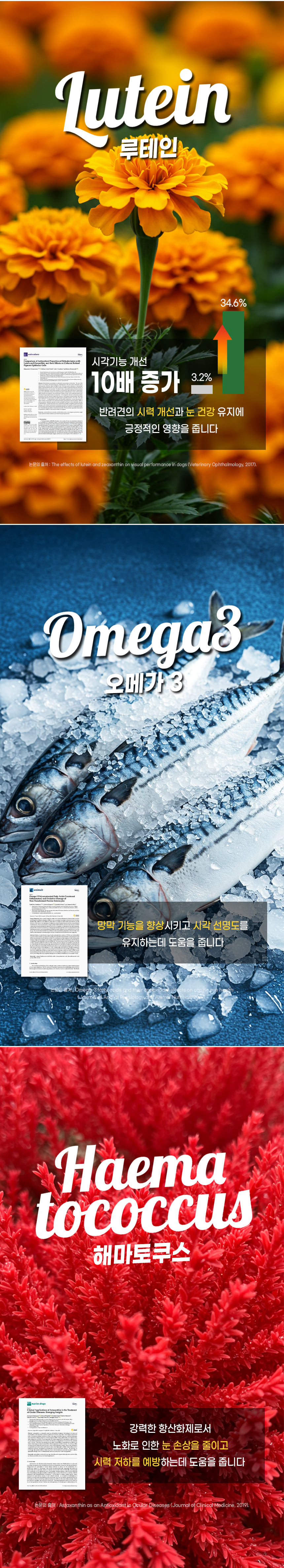 [무료배송] 더보양 독 올데이31 뉴아이즈 눈 영양제 160정 5번째
