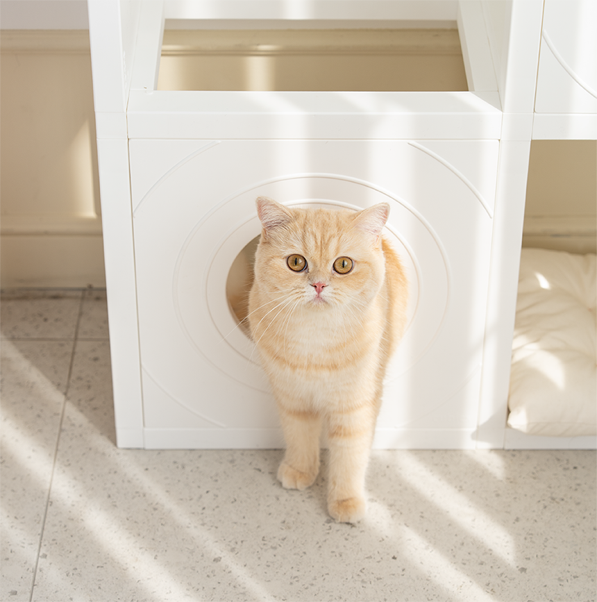 [NEW신상][무료배송] 큐빅스펫 숨숨집 5칸 고양이타워 2X3+ 커버 세트 6color +스크래쳐1장 포함 24번째