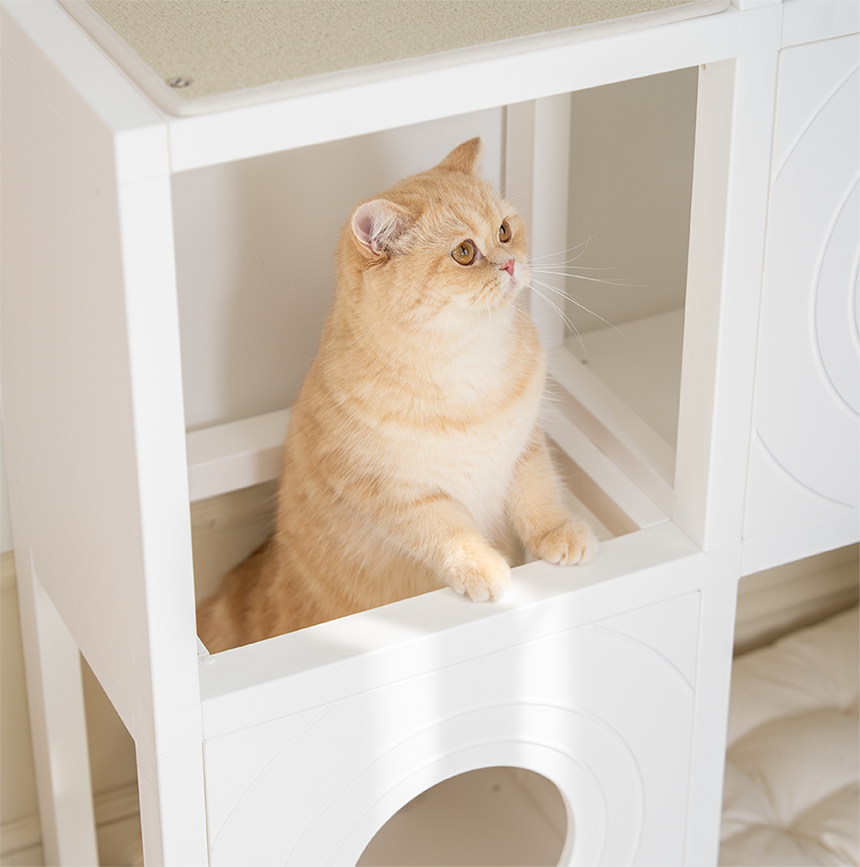 [NEW신상][무료배송] 큐빅스펫 숨숨집 5칸 고양이타워 2X3+ 커버 세트 6color +스크래쳐1장 포함 21번째