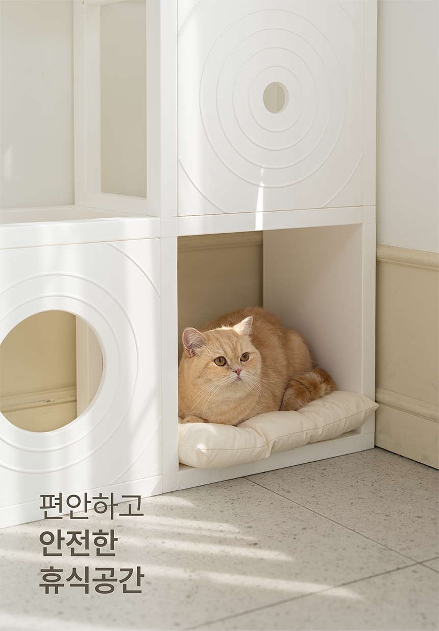 [NEW신상][무료배송] 큐빅스펫 숨숨집 5칸 고양이타워 2X3+ 커버 세트 6color +스크래쳐1장 포함 31번째