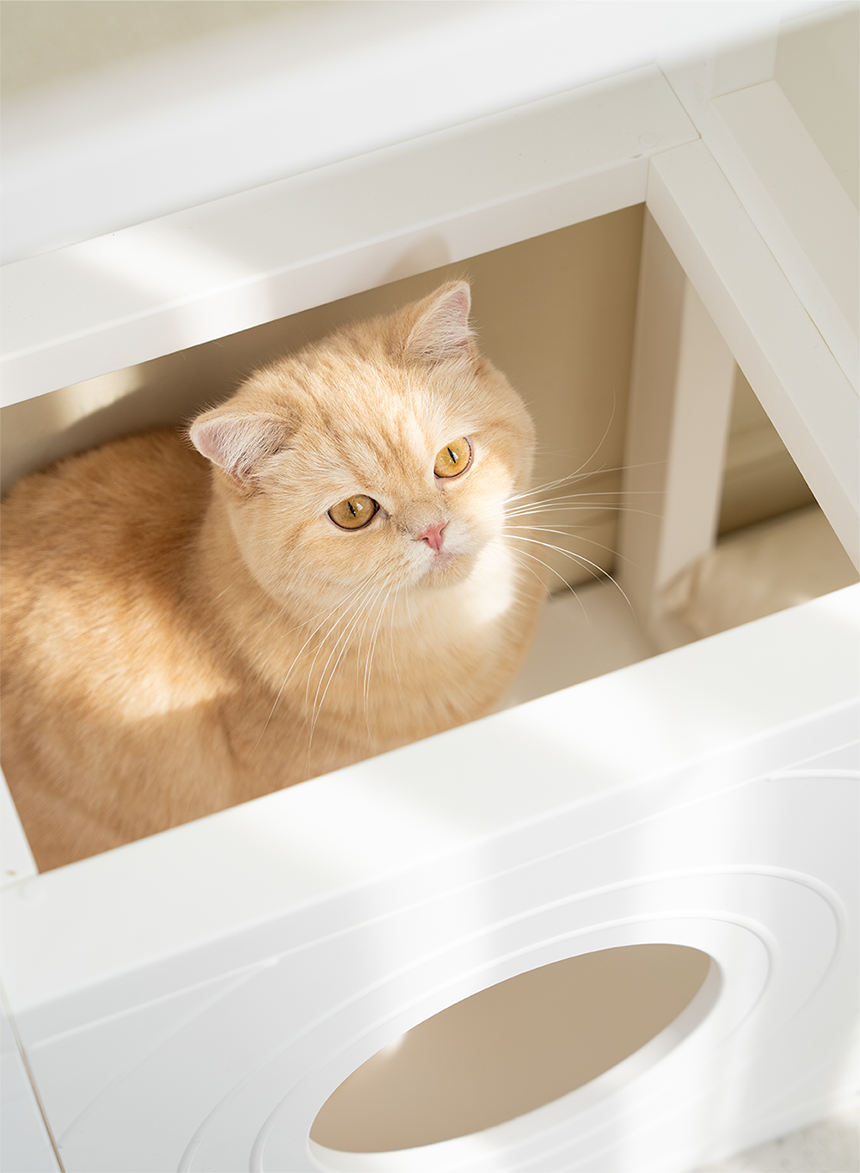 [NEW신상][무료배송] 큐빅스펫 숨숨집 5칸 고양이타워 2X3+ 커버 세트 6color +스크래쳐1장 포함 49번째