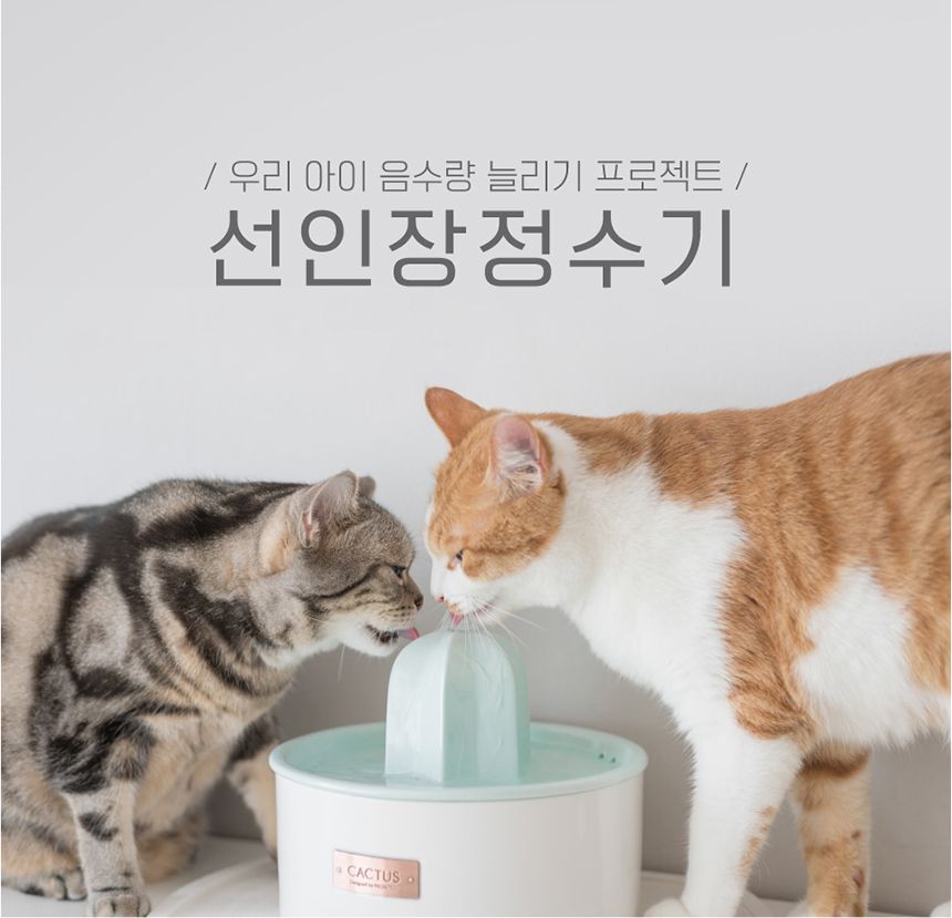 프로젝트21 선인장 정수기 젠에디션 8번째